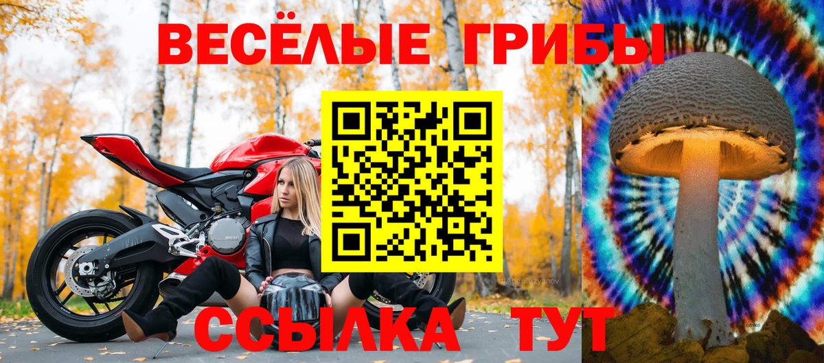 Галлюциногенные грибы Psilocybe Ишимбай