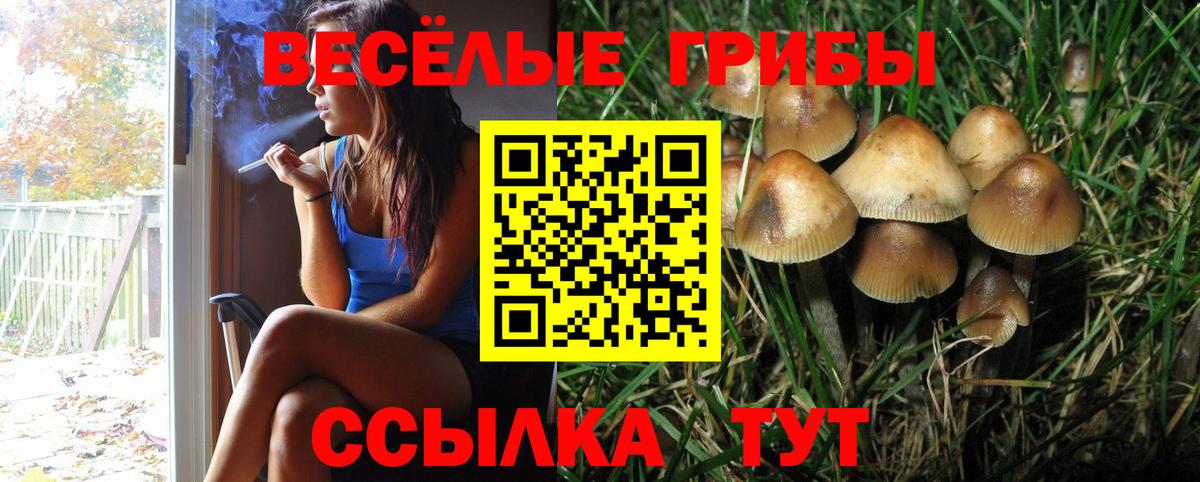 Галлюциногенные грибы GOLDEN TEACHER  Вход с VPN  Ишимбай 